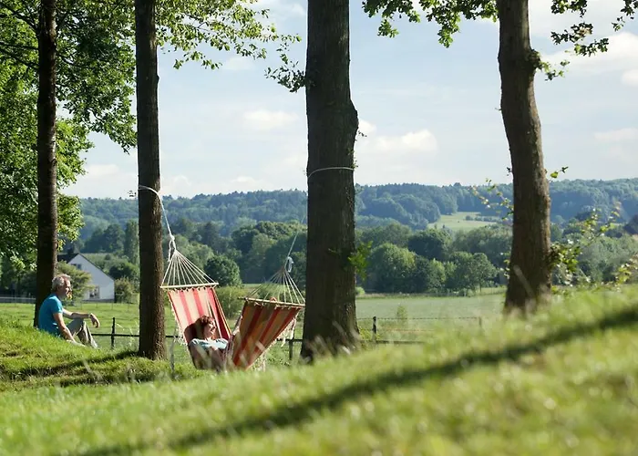 Parque de vacaciones Landal Hoog