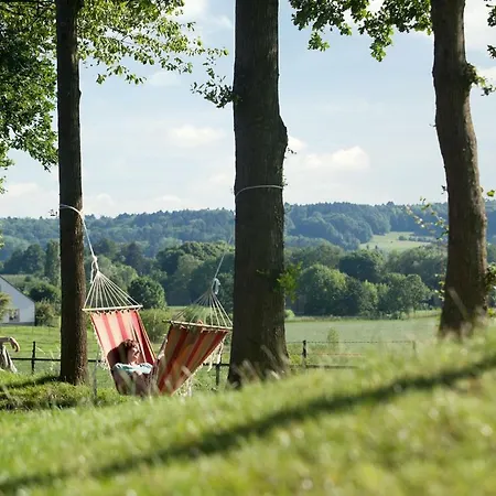 Semesterpark Landal Hoog